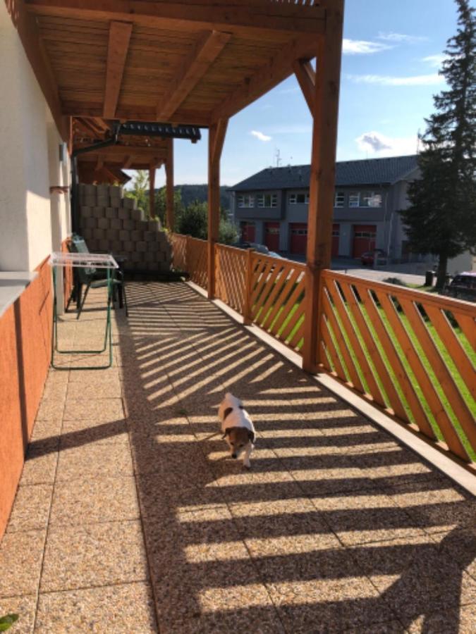 Eva Apartment Frymburk