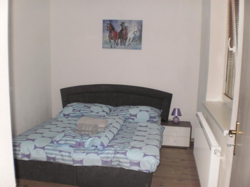 Apartment Eva Frymburk nad Vltavou
